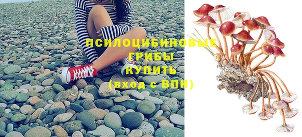 гидра Горнозаводск