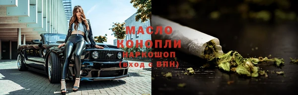 гидра Горнозаводск