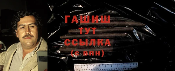 гидра Горнозаводск