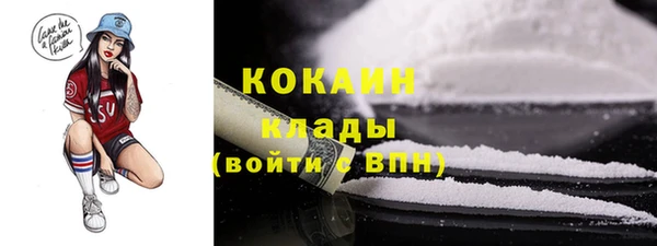 гидра Горнозаводск