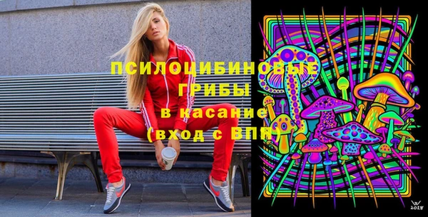 гидра Горнозаводск