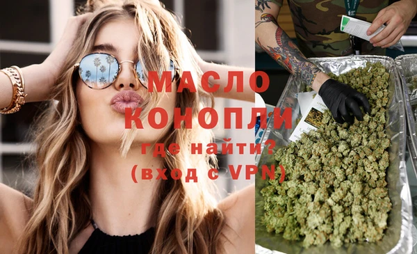 гидра Горнозаводск