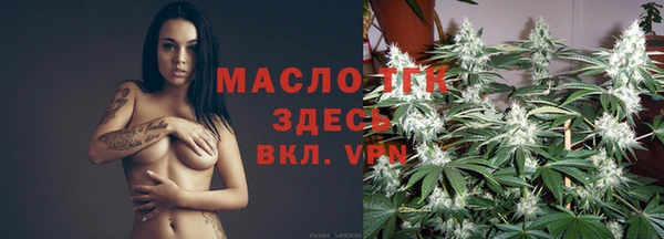 гидра Горнозаводск
