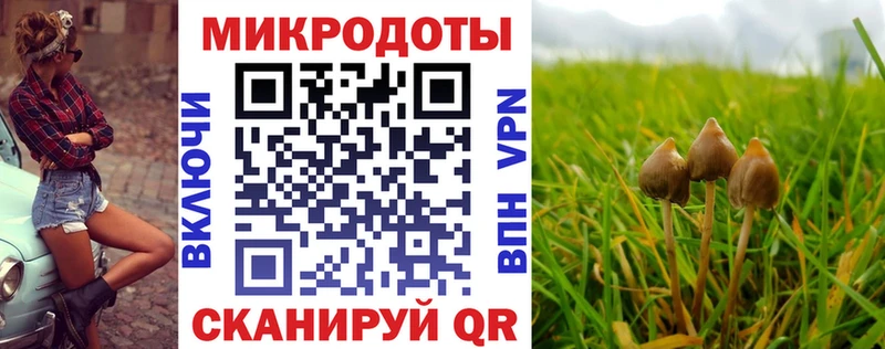 Купить  Весьегонск  Галлюциногенные грибы мухоморы 